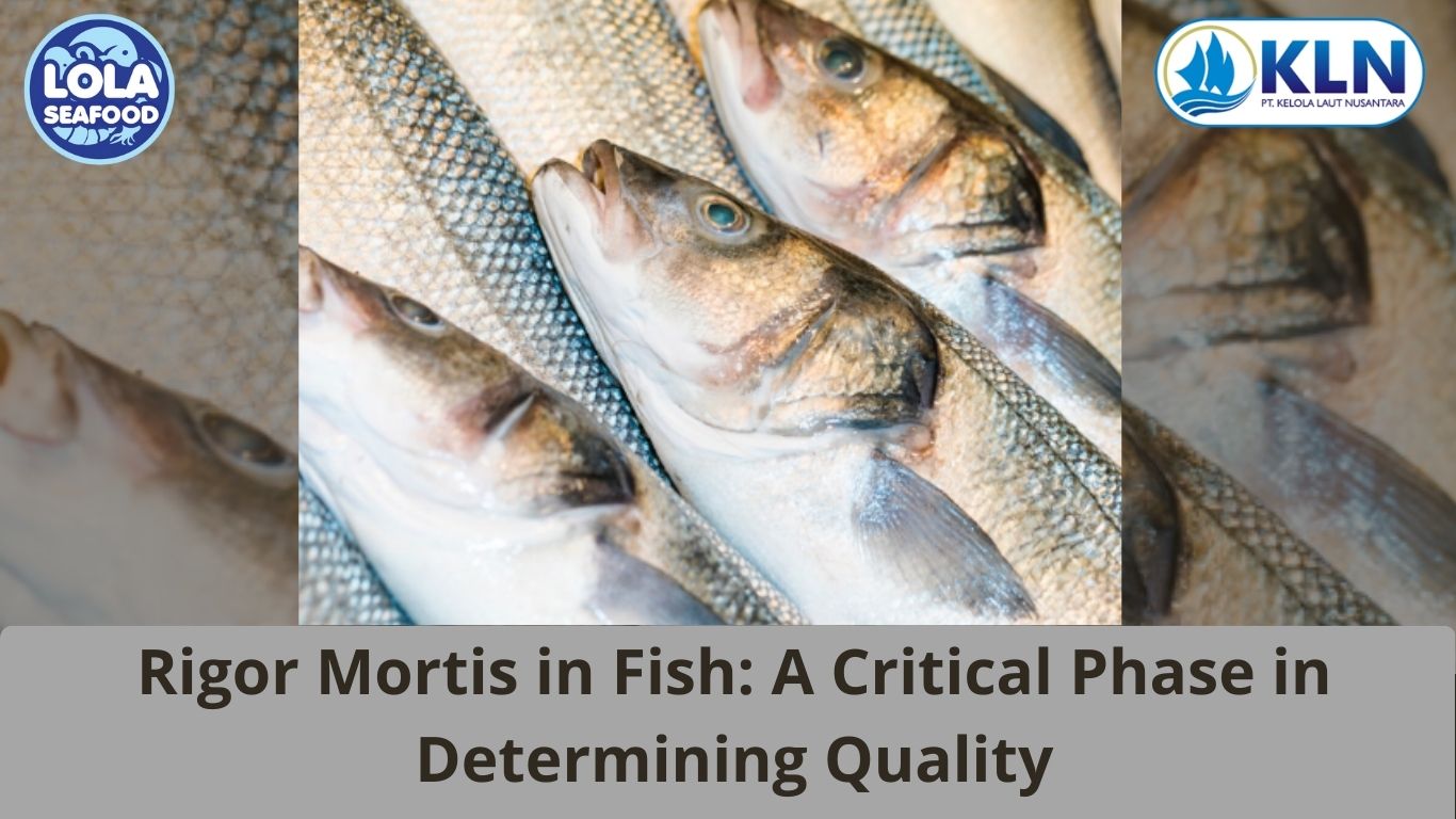 Rigor Mortis in Fish: A Critical Phase in Determining Quality